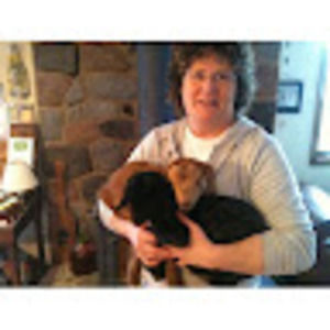 Meet your Posher, Ellen